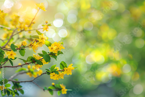 a yellow flower is in the foreground of a blurry background © WapTock
