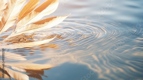 Leaves with soft golden brown color gently floating on the surface of water, creating a sense of tranquility and calm, with ripples spreading out in the water. photo