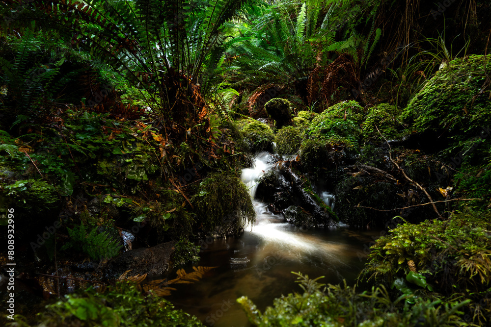 New Zealand Waterfall Long Exposure New Zealand Waterfall Long Exposure