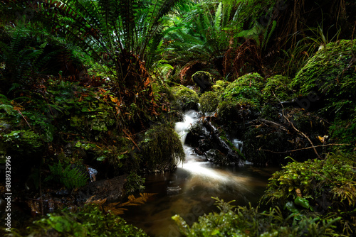 New Zealand Waterfall Long Exposure