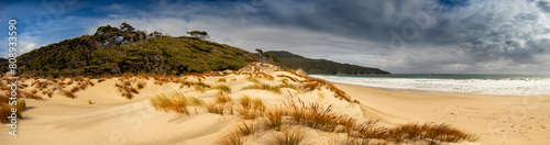 New Zealand Beach Panorama photo