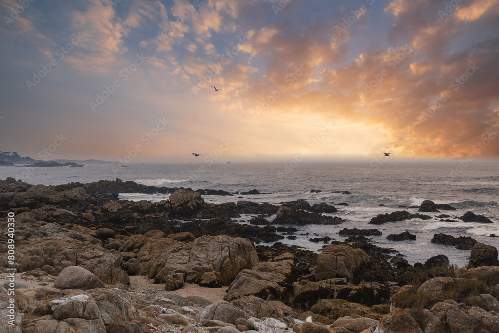 Serene coastal scene along the famous 17 Mile Drive in California, USA. Golden hues at sunrise or sunset, rugged rocks, calm ocean, birds in flight. Rich natural beauty captured.