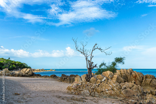 Scenic peaceful calm seascape of the Samui Island rocky shore, blue sky and dry tree in stones