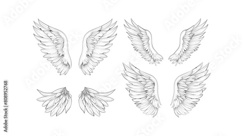 Set of angel wings isolated on a white background
