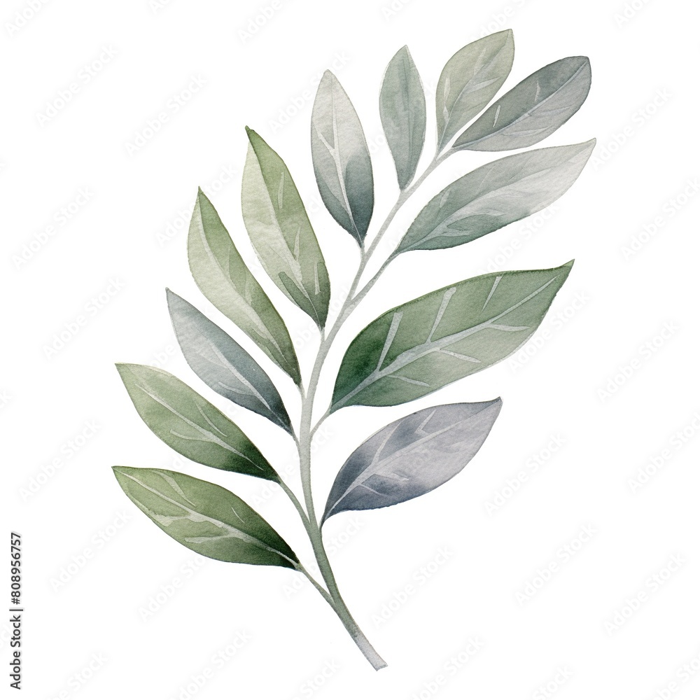 Obraz premium A leafy green plant with a stem and a leaf