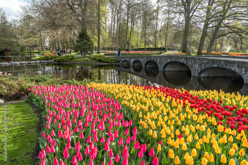 Φωτογραφία Jardin botanique aux tulipes de Keukenhof , à Lisse aux Pays-Bas