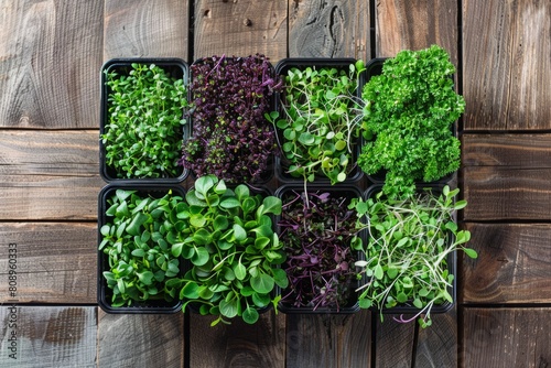 Assortment of fresh microgreens in black trays on wooden background. Top view composition with place for text. Urban farming and sustainable food concept. Generative AI