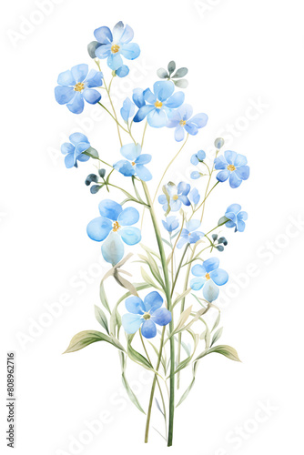 Blue flowers on a white background.