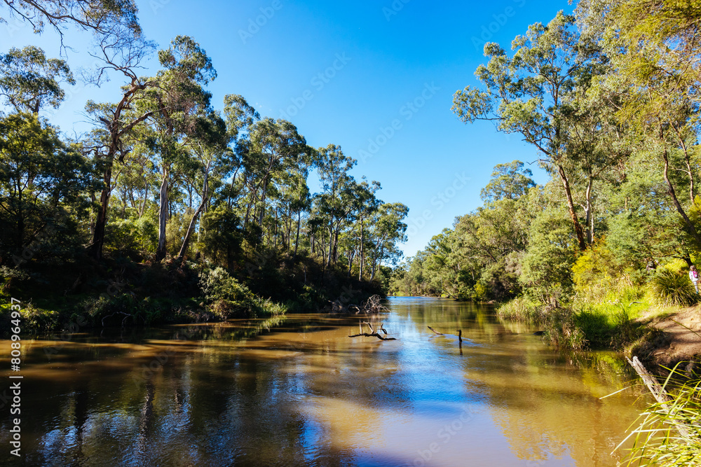 Fotografie Warrandyte River Reserve in Melbourne Australia