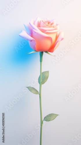 A single  long-stemmed rose in full bloom against a pale blue background.