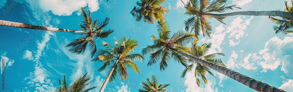 Tall Palm Trees under a Clear Blue Sky, Low Angle View Tall Palm Trees under a Clear Blue Sky, Low Angle View