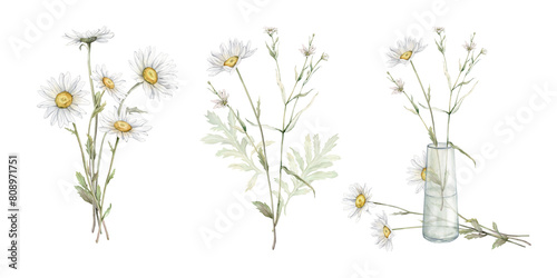 Watercolor set of bouquets with flowers daisy. Hand drawing illustration of chamomile in glass jar. White yellow flowers on isolated background. Floral print illustration. Field bouquet in vase.