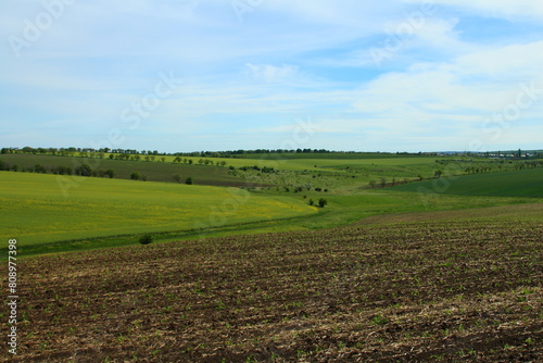 A grassy field with trees in the background