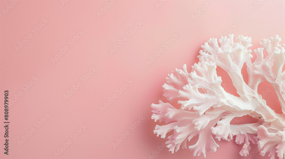 Banner with minimalist pink coral on a light pink background. Minimal background with empty copy space for design. Generative AI Banner with minimalist pink coral on a light pink background. Minimal background with empty copy space for design. Generative AI