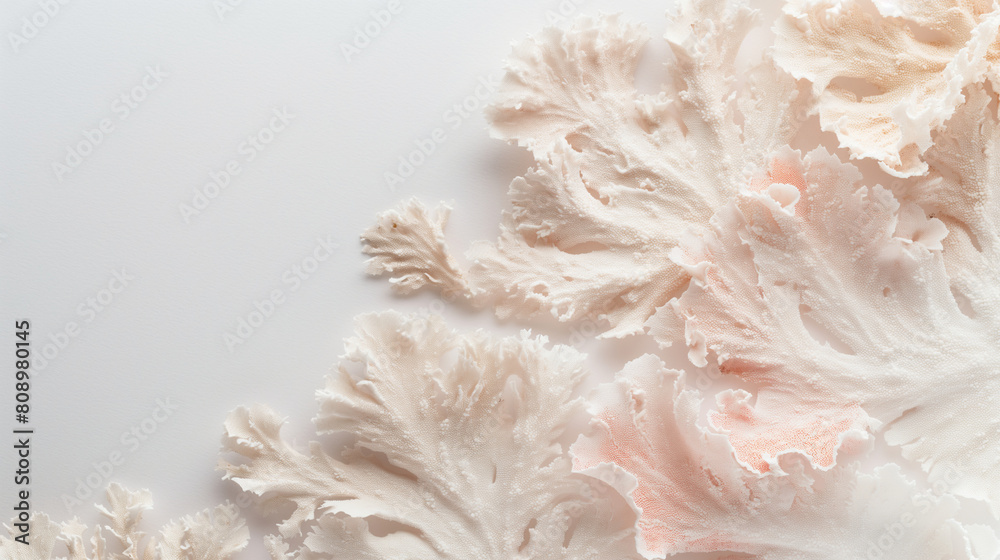 White Coral Branches on Beige Background. Empty copy space. Generative AI White Coral Branches on Beige Background. Empty copy space. Generative AI