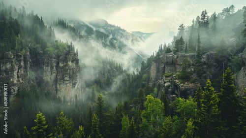 Stunning mountain scenery Where forests and rocks meet in a symphony of tranquility. photo