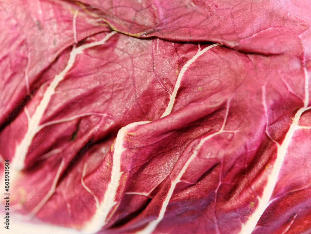 Close-up view of a red radicchio leaf Close-up view of a red radicchio leaf