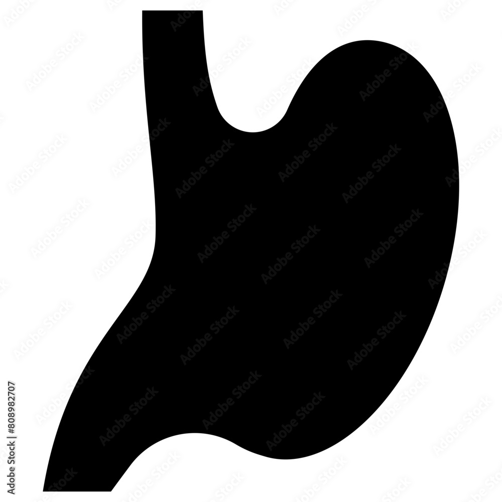 stomach solid icon stomach solid icon