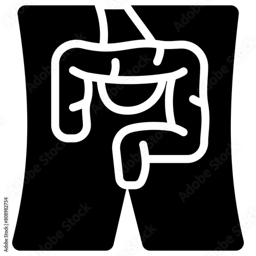 digestive solid icon