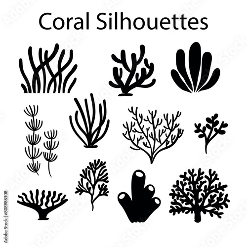 Vector collection of hand drawn sea weeds, corals, actinia illustrations. Vintage set of seaweeds isolated on white background. Underwater sketch. Outlines