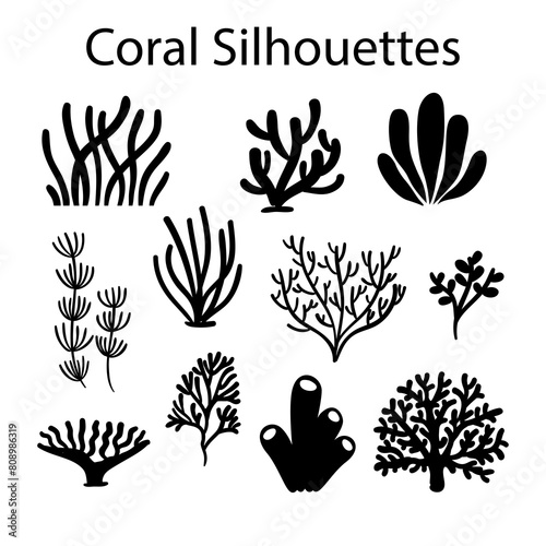 Vector collection of hand drawn sea weeds, corals, actinia illustrations. Vintage set of seaweeds isolated on white background. Underwater sketch. Outlines photo