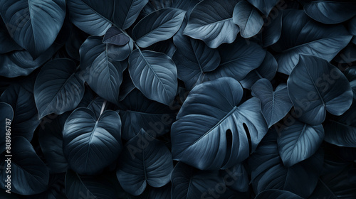 A close up of a bunch of dark green leaves