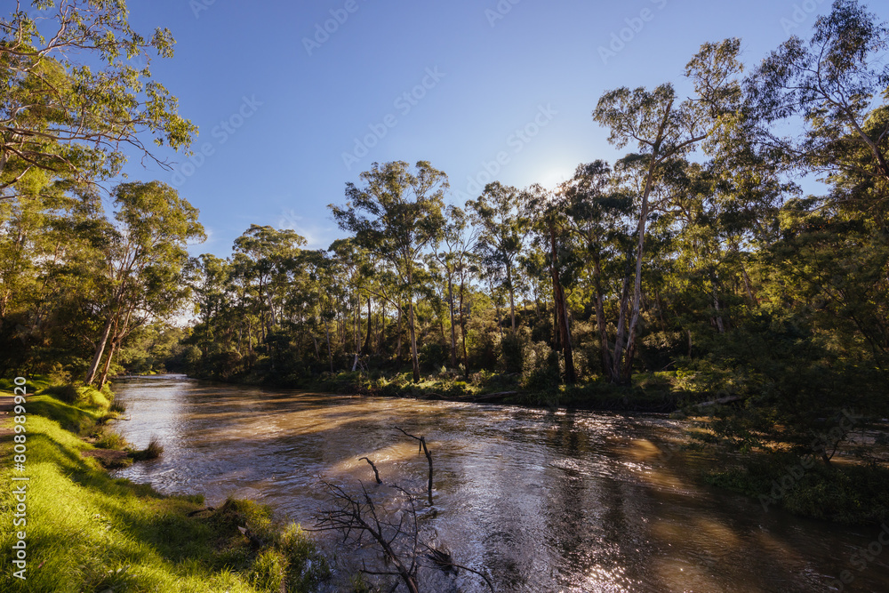 Warrandyte River Reserve in Melbourne Australia Warrandyte River Reserve in Melbourne Australia