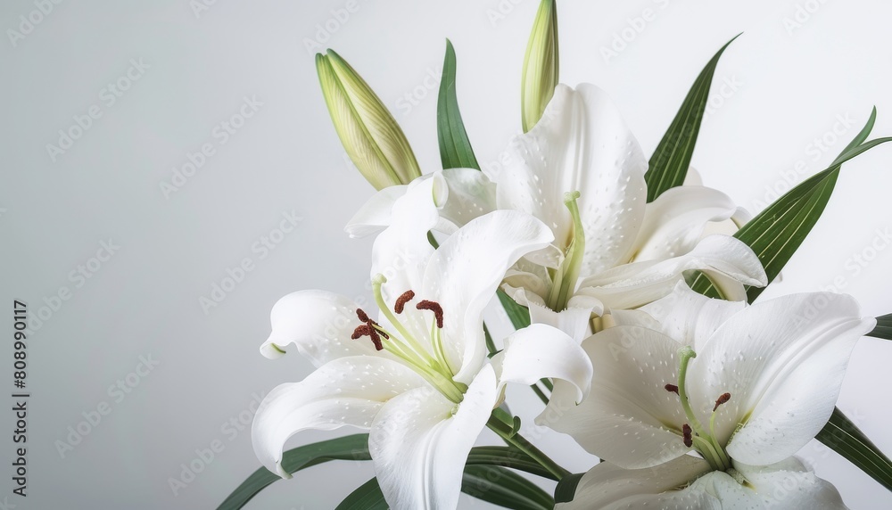 Bouquet of White Lilies