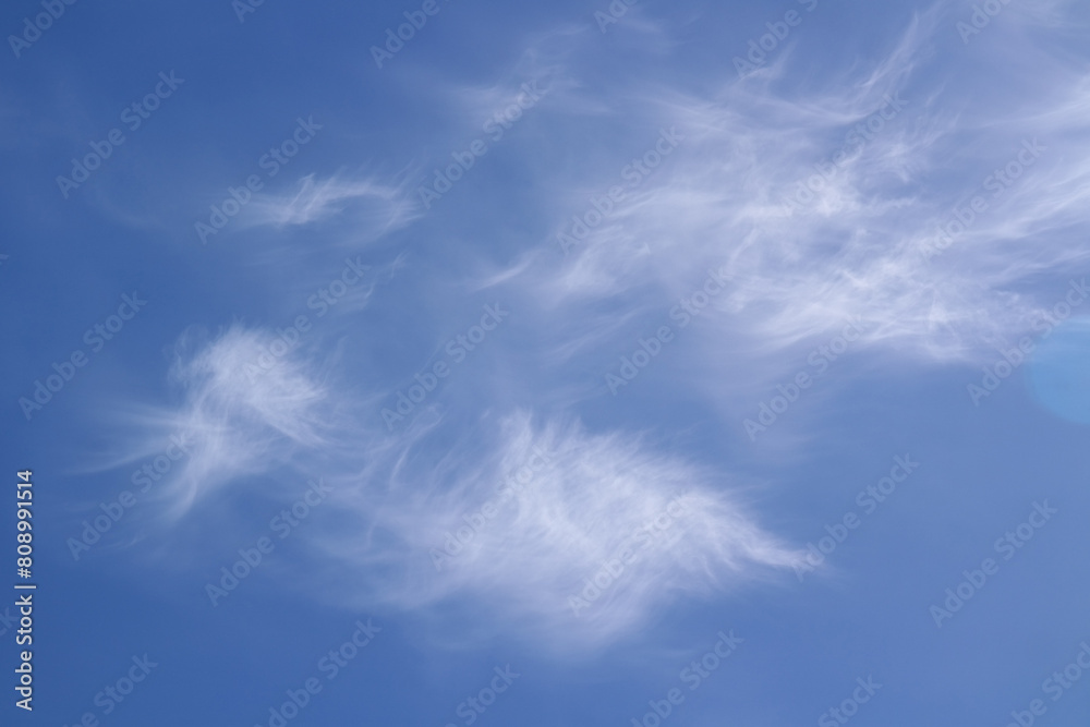 Cielo Cielo