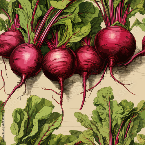 Seamless Colorful Beetroot Pattern