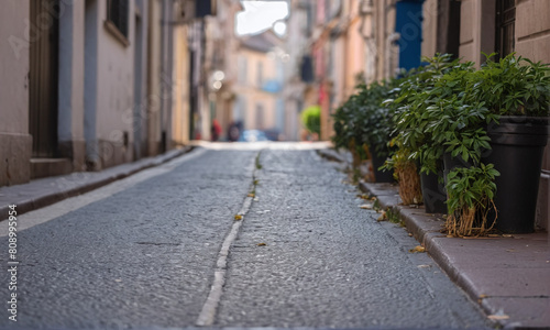 The street of the old town. Shops, signs, people going about their business, city life. An empty road. Have a nice day