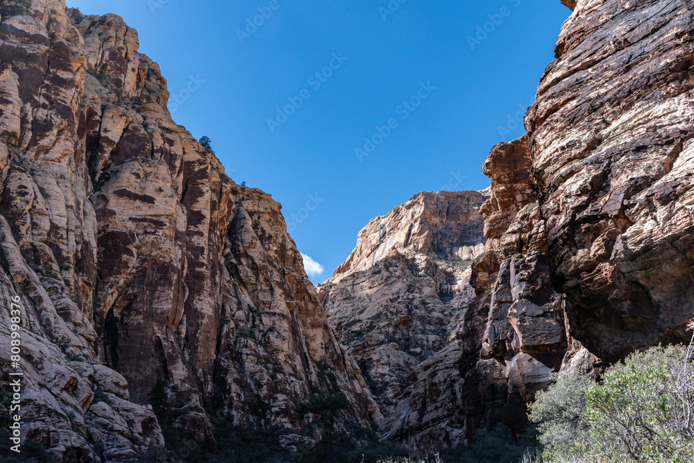 View into the narrow rock walls of Ice Box Canyon. Taken on a blue sky day in Spring - Red Rock Canyon National Conservation Area, Nevada, USA