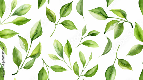 watercolor green leaves. Hand drawn illustration. photo