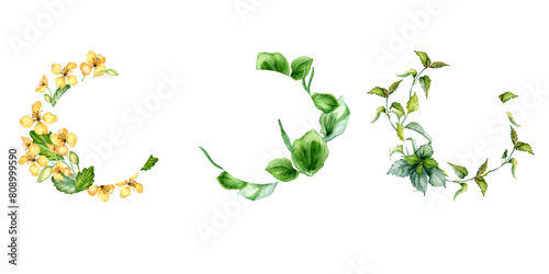 Foto Set of wreaths with herb plants in watercolor isolated