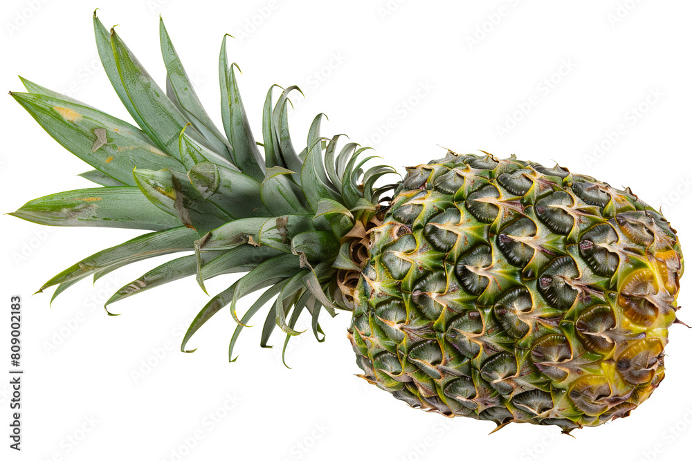 Fresh pineapple isolated on transparent background png Fresh pineapple isolated on transparent background png