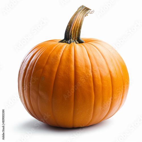 Isolated close - up of a realistic pumpkin vector