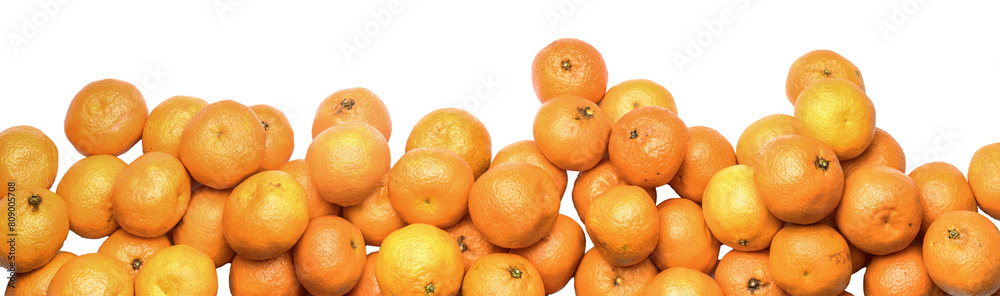 A panorama, banner, border of mandarins A panorama, banner, border of mandarins