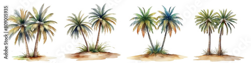 Set of various beautiful watercolour tropical palm trees isolated on transparent background. Generative AI