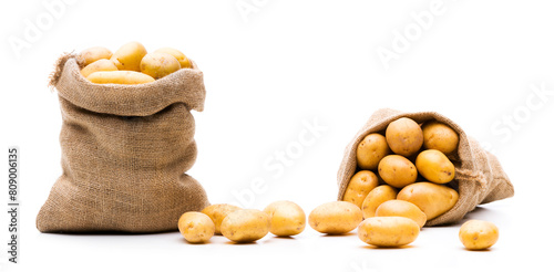 Kartoffeln in einem Jutesack isoliert auf weissem Hintergrund