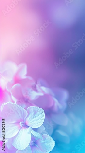 Close-up of a flower with a gradient background of purple, blue and pink.