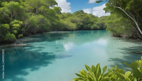 A tranquil lagoon with clear blue water and lush g