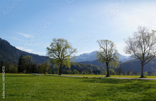 romantic road leading through the scenic, lush green alpine meadows in the Bavarian Alps on a sunny spring evening (Allgaeu, Schwangau, Bavaria, Germany)	