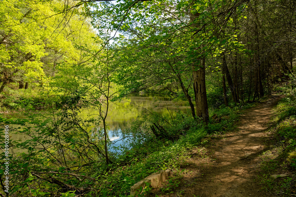 Trail alongside the creek