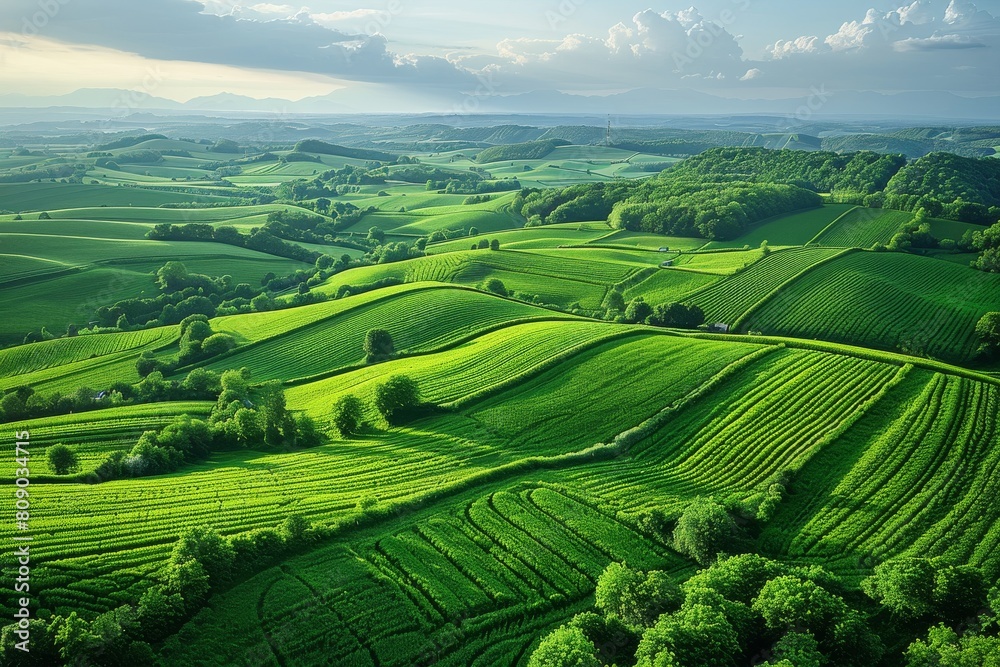 Fototapeta premium Expansive green hills roll into the distance under a dramatic sky, highlighting the serene beauty of the countryside