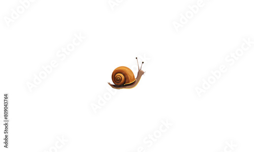 Vector Illustration of a Snail