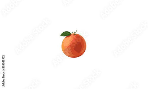 Vector Illustration of Grapefruit