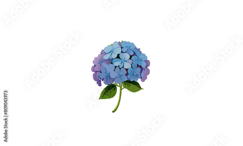 Vector Illustration of Hydrangea