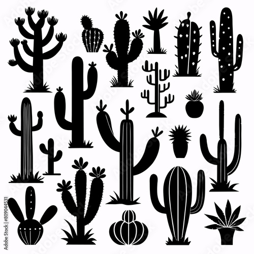 cactus vector illustration