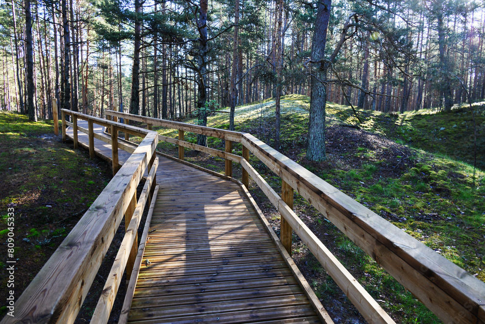 Wooden path in the forest. Wooden path in the forest.