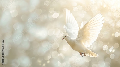White dove flying in a bright white heaven, bright white background.